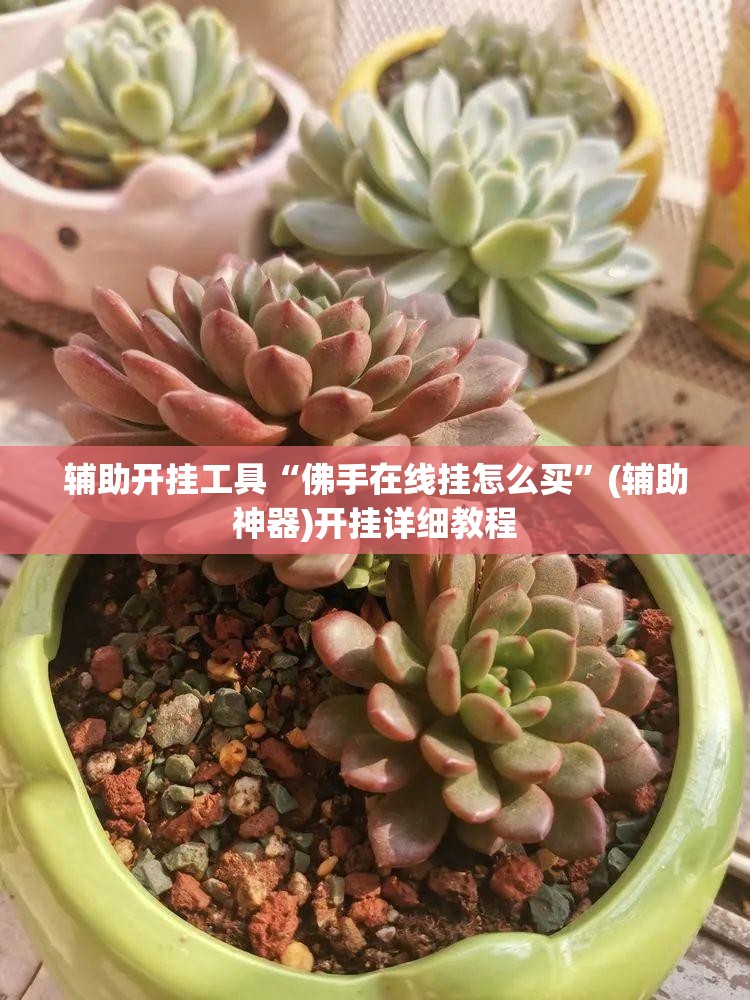 辅助开挂工具“佛手在线挂怎么买”(辅助神器)开挂详细教程