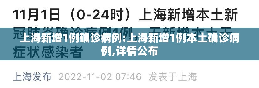 上海新增1例确诊病例:上海新增1例本土确诊病例,详情公布 上海新增1例确诊病例:上海新增1例本土确诊病例,详情公布