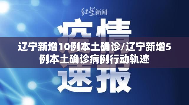 辽宁新增10例本土确诊/辽宁新增5例本土确诊病例行动轨迹