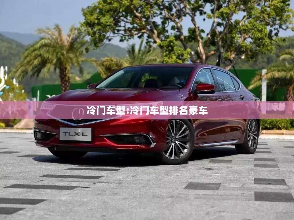冷门车型:冷门车型排名豪车