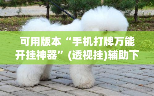 可用版本“手机打牌万能开挂神器”(透视挂)辅助下载教程
