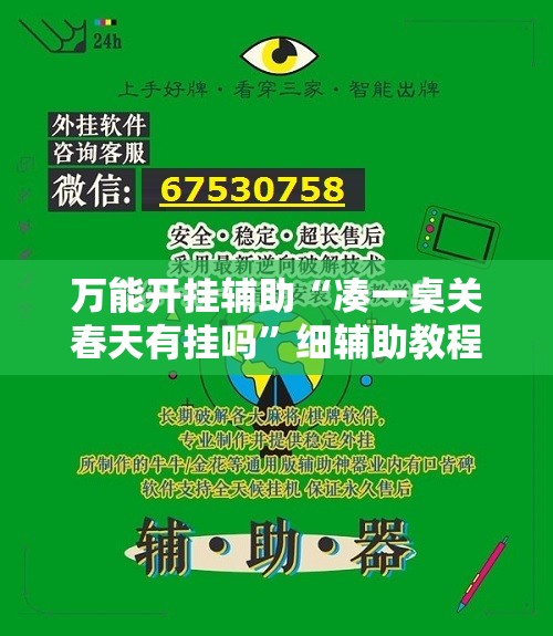 万能开挂辅助“凑一桌关春天有挂吗”细辅助教程分享