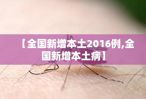 【全国新增本土2016例,全国新增本土病】
