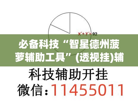 必备科技“智星德州菠萝辅助工具”(透视挂)辅助下载教程