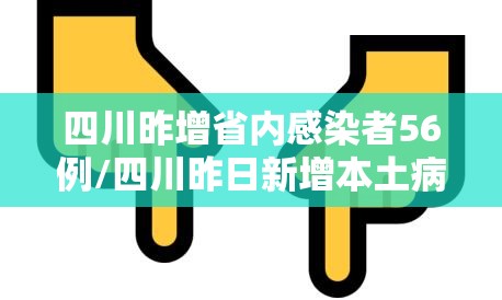 四川昨增省内感染者56例/四川昨日新增本土病例