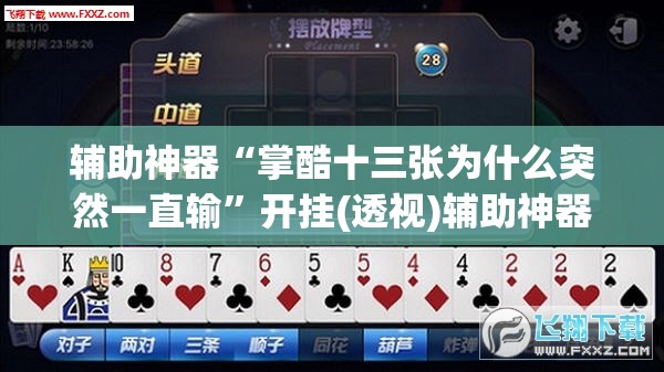 辅助神器“掌酷十三张为什么突然一直输”开挂(透视)辅助神器