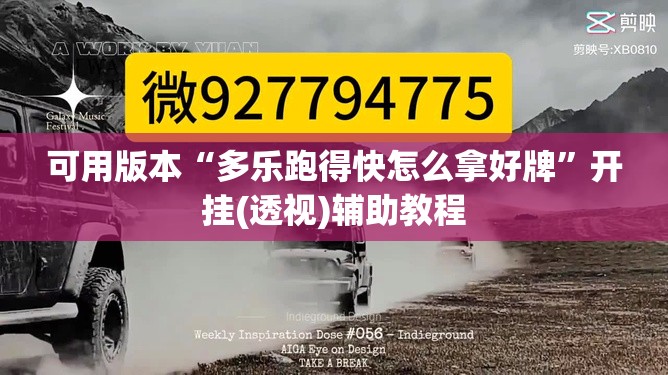 可用版本“多乐跑得快怎么拿好牌”开挂(透视)辅助教程