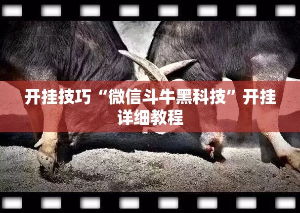 开挂技巧“微信斗牛黑科技”开挂详细教程