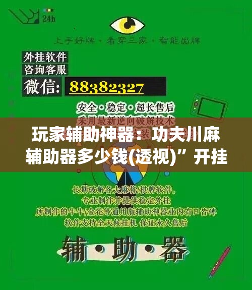 玩家辅助神器：功夫川麻辅助器多少钱(透视)”开挂辅助脚本+详细开挂安装教程