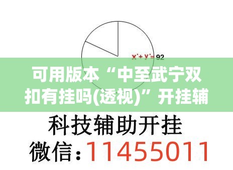 可用版本“中至武宁双扣有挂吗(透视)”开挂辅助脚本+详细开挂安装教程