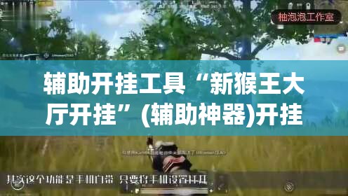 辅助开挂工具“新猴王大厅开挂	”(辅助神器)开挂详细教程