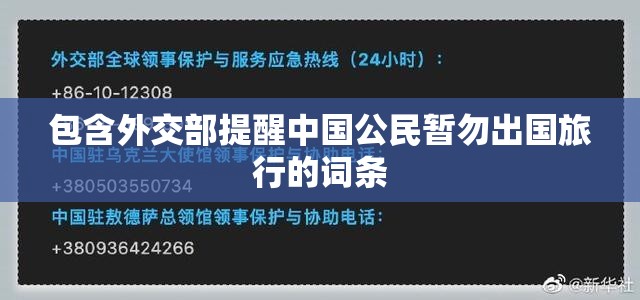 包含外交部提醒中国公民暂勿出国旅行的词条