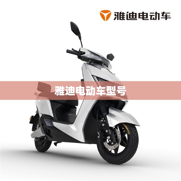 【雅迪电动车型号/雅迪电动车型号字母的含义】