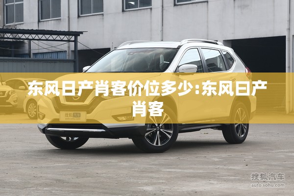 东风日产肖客价位多少:东风曰产肖客