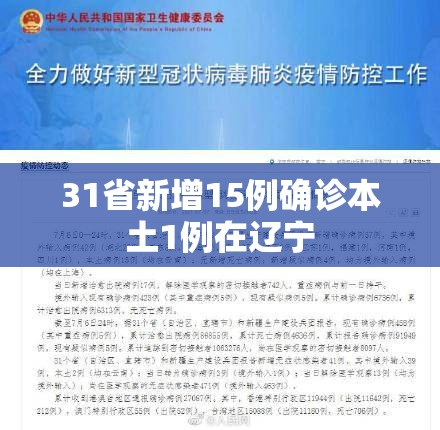 【31省新增15例确诊本土1例在辽宁/31省新增确诊17例 本土6例在辽宁疫情】