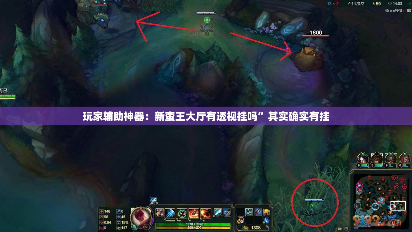 玩家辅助神器：新蛮王大厅有透视挂吗	”其实确实有挂
