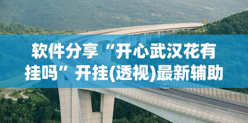 软件分享“开心武汉花有挂吗	”开挂(透视)最新辅助详细