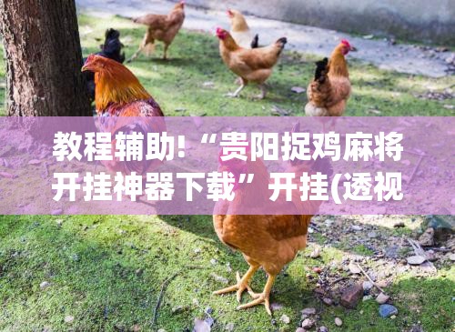 教程辅助!“贵阳捉鸡麻将开挂神器下载”开挂(透视)辅助教程