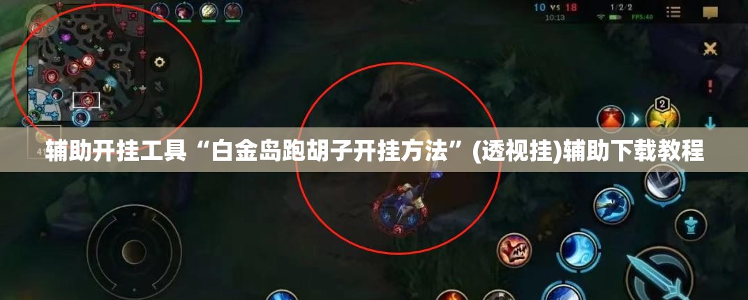 辅助开挂工具“白金岛跑胡子开挂方法”(透视挂)辅助下载教程