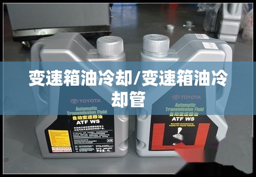 变速箱油冷却/变速箱油冷却管