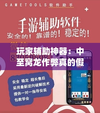 玩家辅助神器：中至窝龙作弊真的假的	”(透视挂)辅助下载教程