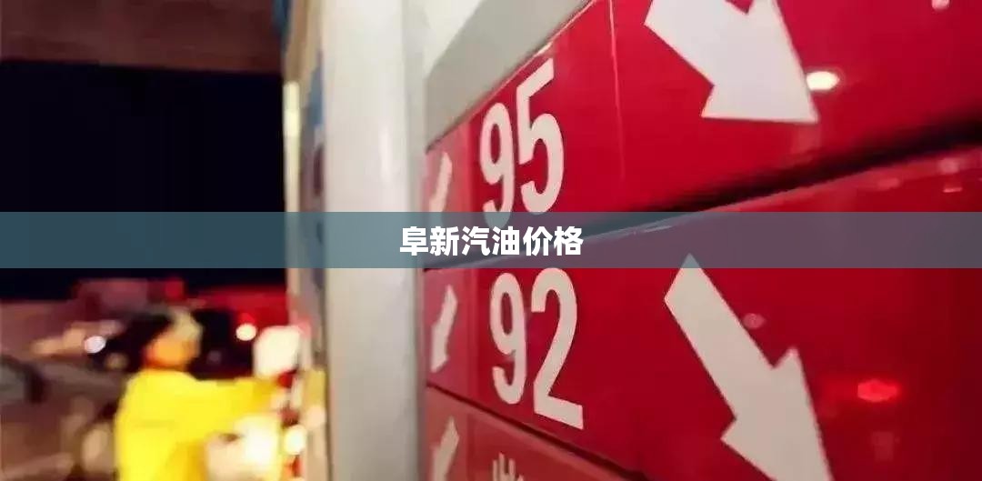 阜新汽油费用（阜新市油价）