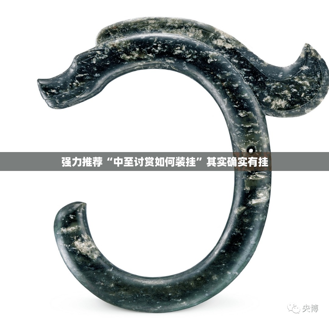 强力推荐“中至讨赏如何装挂	”其实确实有挂