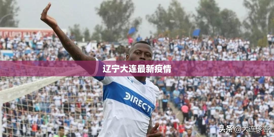 辽宁大连最新疫情:辽宁大连最新肺炎疫情