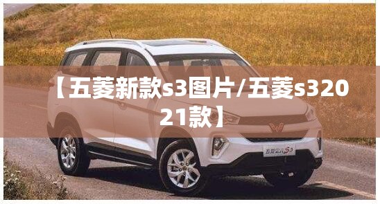 【五菱新款s3图片/五菱s32021款】