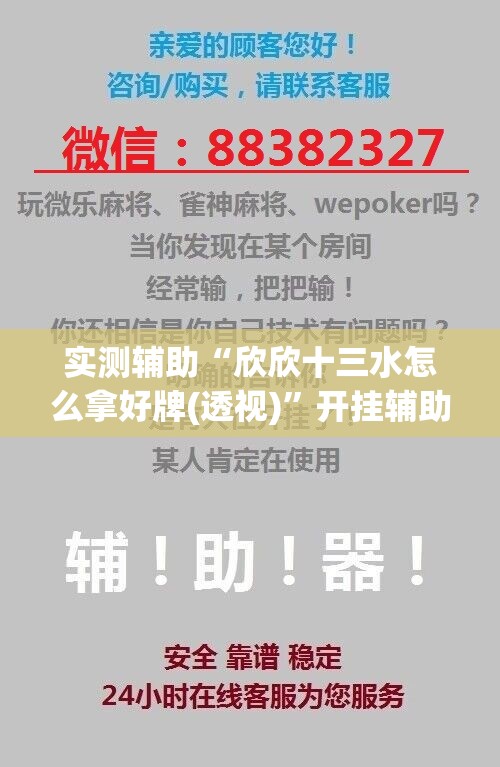 实测辅助“欣欣十三水怎么拿好牌(透视)”开挂辅助脚本+详细开挂安装教程