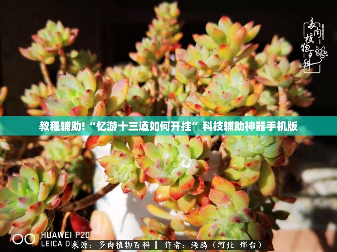 教程辅助!“忆游十三道如何开挂	”科技辅助神器手机版