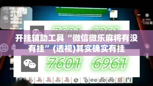 开挂辅助工具“微信微乐麻将有没有挂”(透视)其实确实有挂