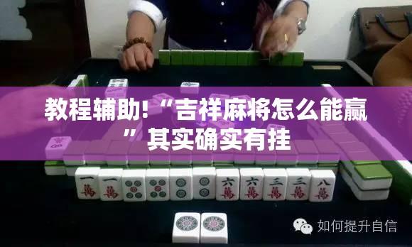 教程辅助!“吉祥麻将怎么能赢”其实确实有挂