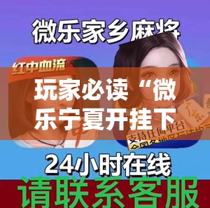 玩家必读“微乐宁夏开挂下载安装”2026开挂教程步骤