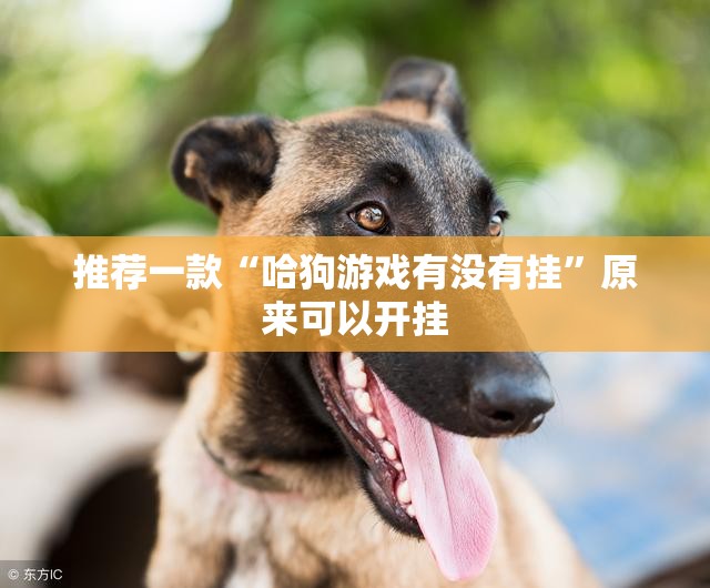推荐一款“哈狗游戏有没有挂”原来可以开挂