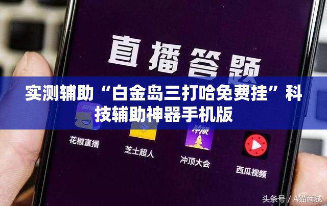 实测辅助“白金岛三打哈免费挂”科技辅助神器手机版