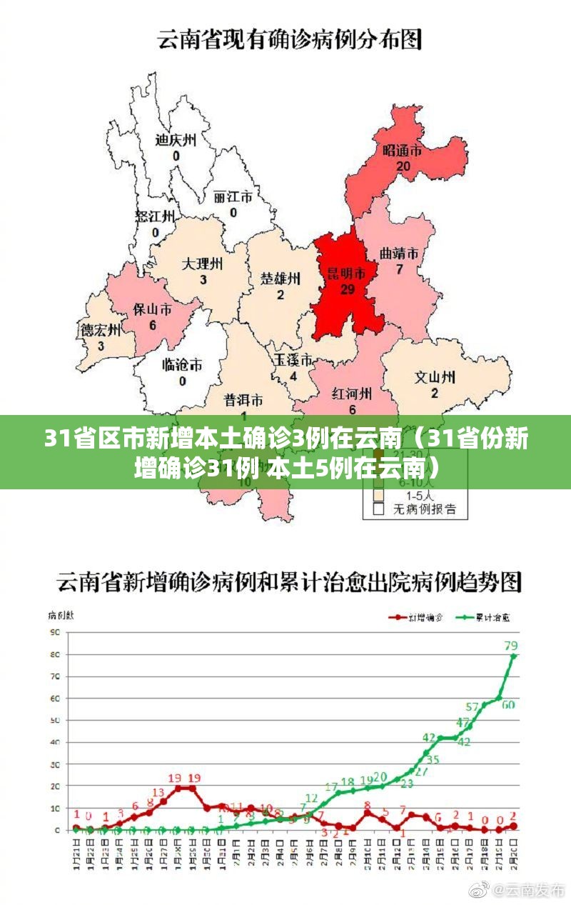 31省区市新增本土确诊3例在云南（31省份新增确诊31例 本土5例在云南）