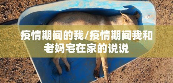 疫情期间的我/疫情期间我和老妈宅在家的说说