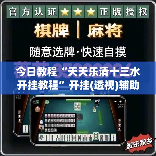 今日教程“天天乐清十三水开挂教程”开挂(透视)辅助神器