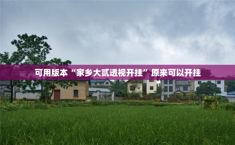 可用版本“家乡大贰透视开挂”原来可以开挂