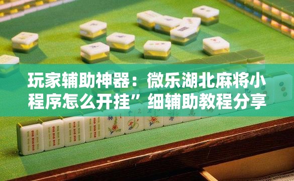 玩家辅助神器：微乐湖北麻将小程序怎么开挂”细辅助教程分享