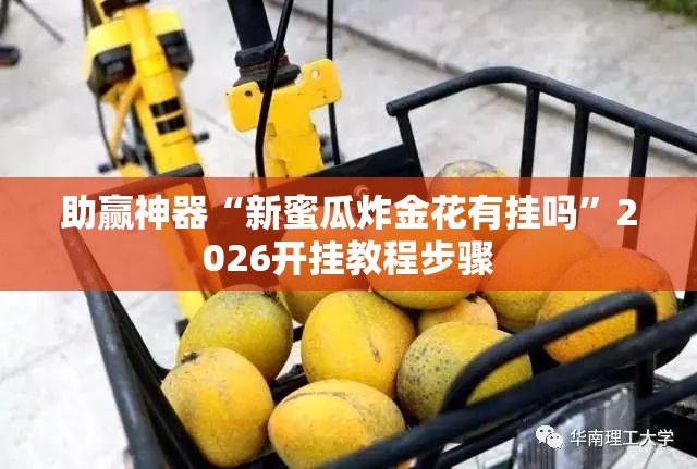 助赢神器“新蜜瓜炸金花有挂吗”2026开挂教程步骤