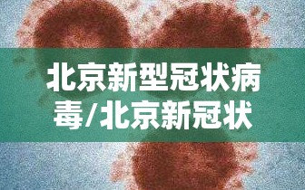北京新型冠状病毒/北京新冠状病毒肺炎