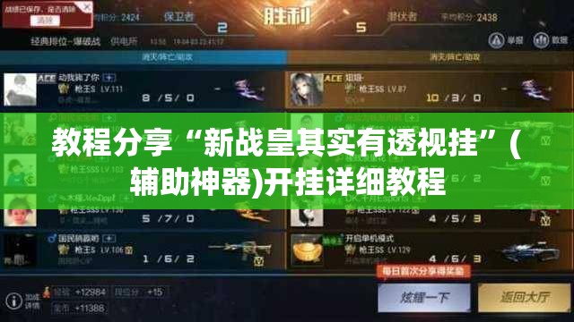 教程分享“新战皇其实有透视挂”(辅助神器)开挂详细教程