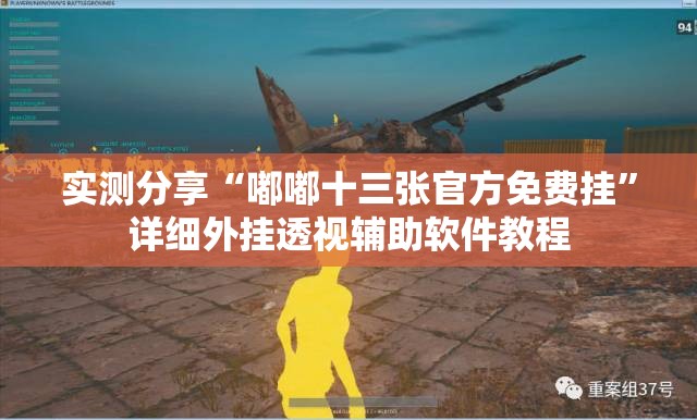实测分享“嘟嘟十三张官方免费挂”详细外挂透视辅助软件教程