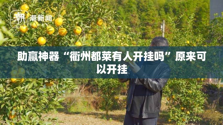 助赢神器“衢州都莱有人开挂吗”原来可以开挂