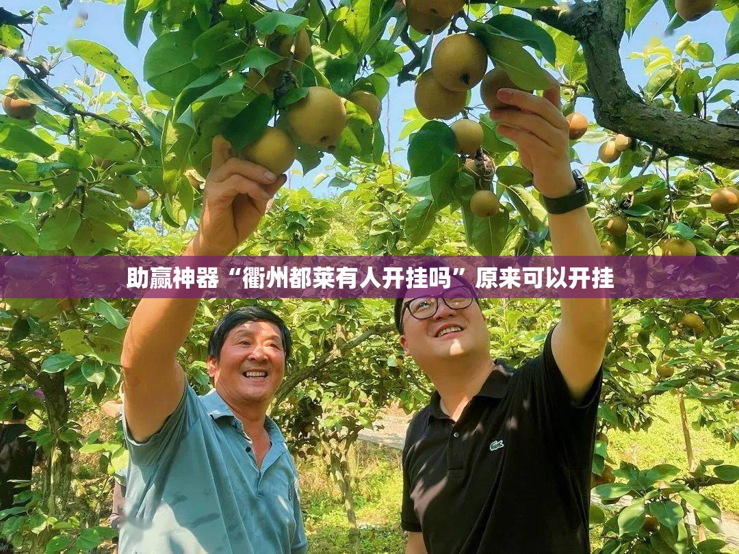 助赢神器“衢州都莱有人开挂吗”原来可以开挂