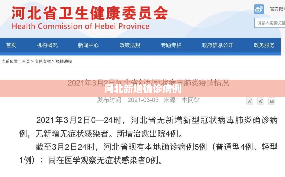 河北新增确诊病例（河北新增确诊病例78例 累计221例）