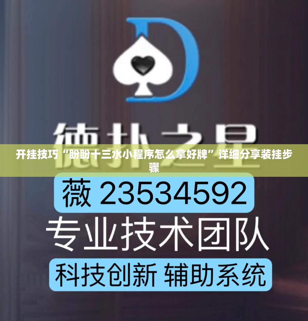 开挂技巧“盼盼十三水小程序怎么拿好牌”详细分享装挂步骤