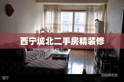 西宁城北二手房精装修（西宁城北二手房精装修出售）